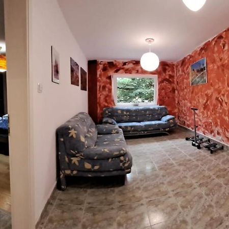 Daria Lorenzo Apartament Timisoara Exterior photo
